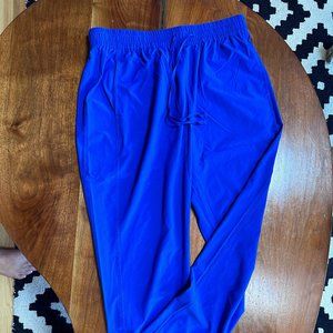 Bright Cobalt Blue Girlfriend Collective Joggers Large